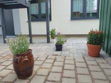 Apartmány Mandle - Hustopeče