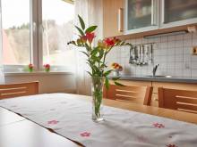 Apartmán Svoboda - Svoboda nad Úpou