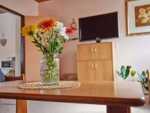 Apartmán Svoboda - Svoboda nad Úpou