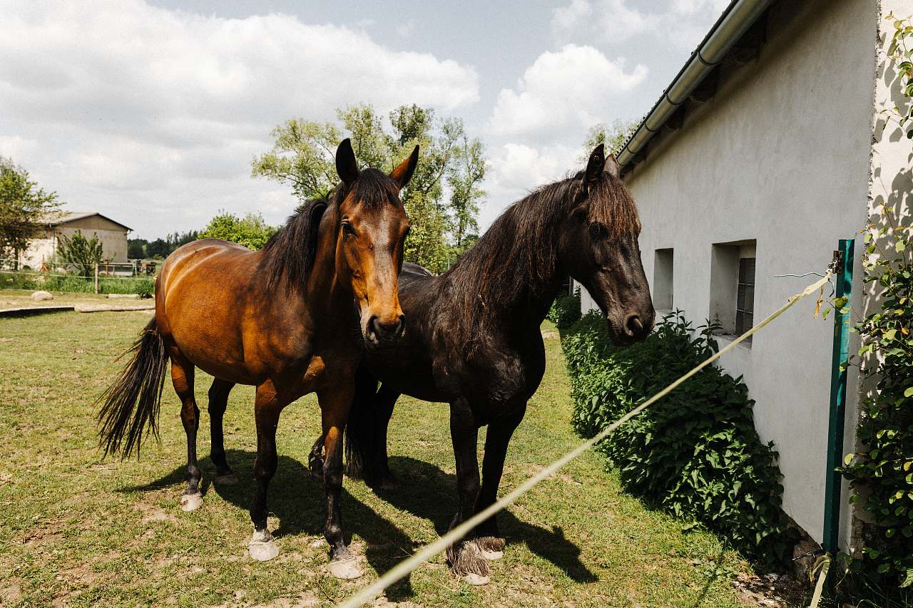 Do Maštale - Hrádek