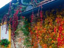 Pension Fanlor - Zubčická Lhotka