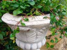 Pension Fanlor - Zubčická Lhotka