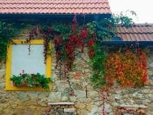 Pension Fanlor - Zubčická Lhotka