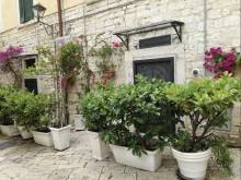 Apartmán Trani - 