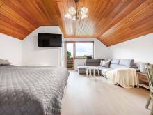 Apartmán Pure Harmony - Velké Bílovice