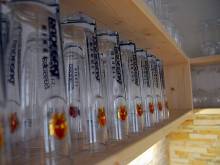 Chata Lidka - Dolní Maxov