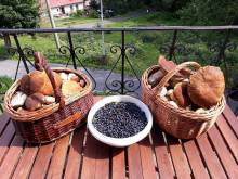 Chata Lidka - Dolní Maxov