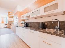 Velký rodinný apartmán s garáží - Skiapartma - Říčky v Orlických horách