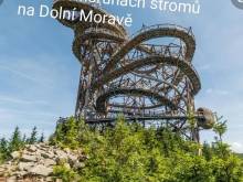 Velký rodinný apartmán s garáží - Skiapartma - Říčky v Orlických horách