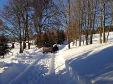 Ubytování v soukromí „Harmonie“ - Mariánská