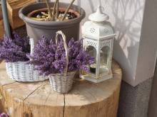 Ubytování v soukromí „Harmonie“ - Mariánská