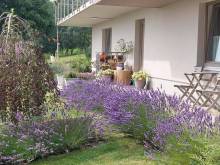 Ubytování v soukromí „Harmonie“ - Mariánská