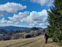 Ubytování v soukromí „Harmonie“ - Mariánská