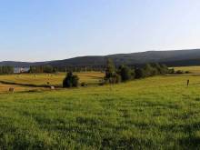 Roubenky za Hurtovnou - Orlické Záhoří