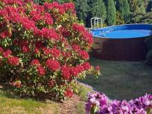 Chaloupka nad Českým rájem - Skuhrov