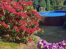 Chaloupka nad Českým rájem - Skuhrov