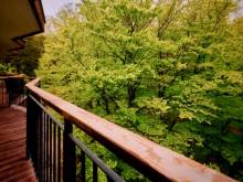 Apartmán v korunách stromů - Harrachov