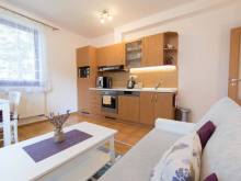 Apartmán Jonáš u břehu Lipna - Lipno nad Vltavou
