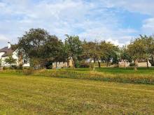 Apartmán Vysoké nad Jizerou - Vysoké nad Jizerou