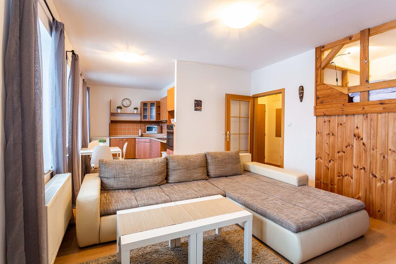 Apartmán Boží Dar 95 - Boží Dar