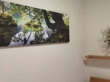 Apartmán Selina - Janské Lázně