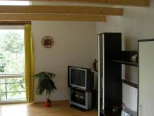 Apartmá u Bechyně II - Bechyně