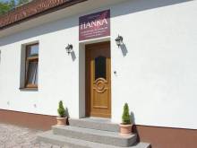Penzion HANKA Orličky - Orličky