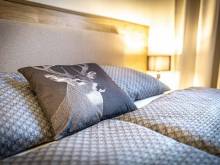 Apartmány Klinovec Views - Loučná pod Klínovcem