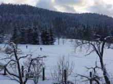 Apartmány u Sachovy studánky - Horní Bečva
