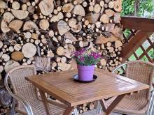 Apartmán pod Javořicí - Studená