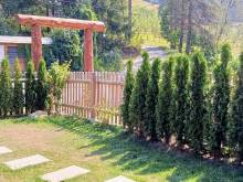 Apartmán Jezerné - Jezerné