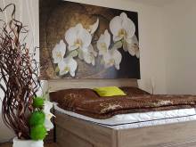 Apartmán Říčky Mařinka 201 - Říčky v Orlických horách