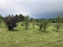 Apartmán Karhule pod Blaníkem - Karhule