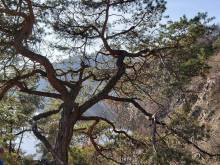 Apartmán na poloostrově Ždáň - Ždáň