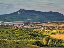 Ubytování De Donawitz - Dolní Dunajovice