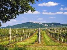 Ubytování De Donawitz - Dolní Dunajovice