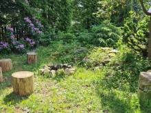 Apartmány Mamut - Harrachov