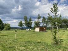 Apartmány Větrná 29 - Ostrov
