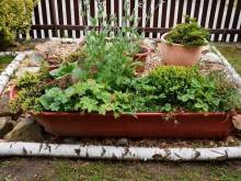 Ubytování na Lipensku - Olšina