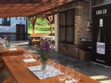 Apartmány Ehrlich - Milotice