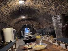 Zapomenutý sklípek - Olbramovice