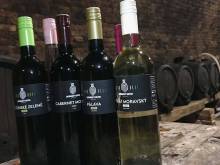 Zapomenutý sklípek - Olbramovice