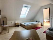 Zapomenutý sklípek - Olbramovice