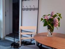 Pronájem apartmánu - Hevlín