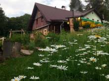 Trejbalova bouda - Bolkov