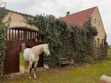 Apartmán U bělouše - Mníšek