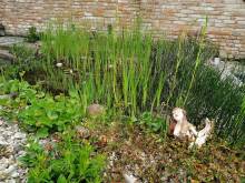 Apartmán k pronájmu - Klentnice