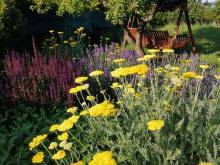 Apartmán k pronájmu - Klentnice