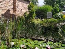 Apartmán k pronájmu - Klentnice