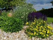 Apartmán k pronájmu - Klentnice